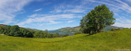 202207_sco_083