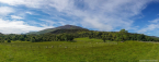 202207_sco_084