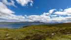 202207_sco_193