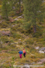 202209_hollersbach_05