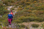 202209_hollersbach_07