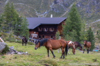 202209_hollersbach_11