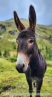 202209_hollersbach_13