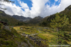 202209_hollersbach_15