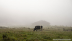 202209_hollersbach_16