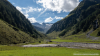202209_hollersbach_18