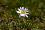 202209_hollersbach_24
