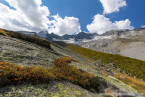 202209_hollersbach_25