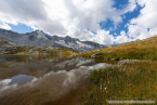 202209_hollersbach_27