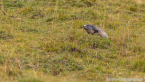 202209_hollersbach_36