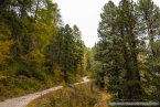 20221009_suedtirol_voels_047