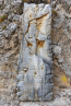20221009_suedtirol_voels_055