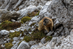20221009_suedtirol_voels_062