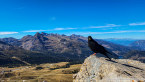 20221009_suedtirol_voels_090