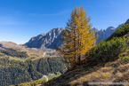 20221009_suedtirol_voels_097