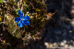20221009_suedtirol_voels_098