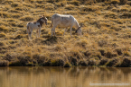 20221009_suedtirol_voels_107