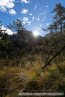 20221009_suedtirol_voels_004