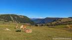 20221009_suedtirol_voels_030