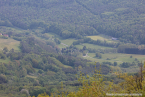 IMG_5131