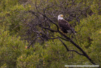 202307_usa_ca_475