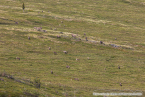 202307_usa_ca_073