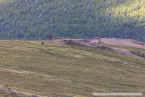 202307_usa_ca_074