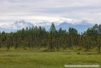 202307_usa_ca_217