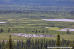 202307_usa_ca_352