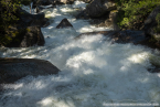 202405_usa_4sterne_058