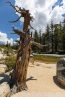 202405_usa_4sterne_068