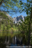 202405_usa_4sterne_082