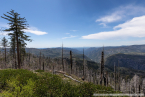 202405_usa_4sterne_094
