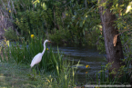 202405_usa_4sterne_095