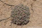 202405_usa_4sterne_099