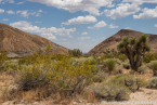 202405_usa_4sterne_101