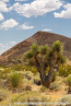 202405_usa_4sterne_105