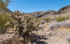 202405_usa_4sterne_127