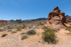 202405_usa_4sterne_129