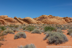 202405_usa_4sterne_152