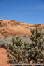 202405_usa_4sterne_153