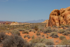 202405_usa_4sterne_154