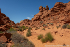 202405_usa_4sterne_155