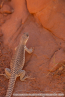 202405_usa_4sterne_157