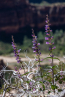 202405_usa_4sterne_170