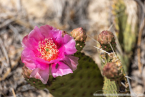 202405_usa_4sterne_173