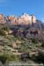 202405_usa_4sterne_179