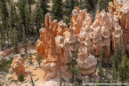 202405_usa_4sterne_187
