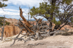 202405_usa_4sterne_188
