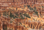 202405_usa_4sterne_190